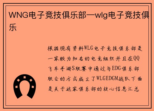 WNG电子竞技俱乐部—wlg电子竞技俱乐